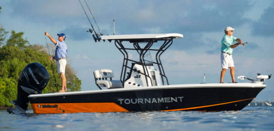 Wellcraft 241 Fisherman profile