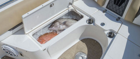 Wellcraft 242 Fisherman fish box