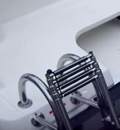 Wellcraft 242 Fisherman ladder