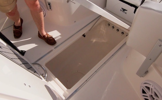 Wellcraft 262 Scarab Offshore