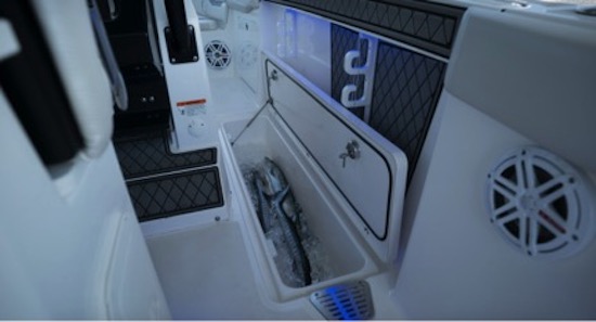 Wellcraft 262 Scarab Offshore