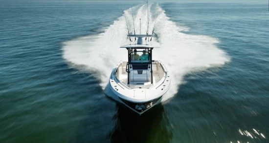 Wellcraft 302 Scarab Offshore rod holders