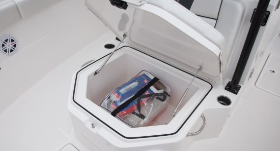 Wellcraft 302 Scarab Offshore storage