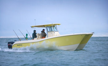 World Cat 290
