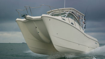 World Cat 290 EC