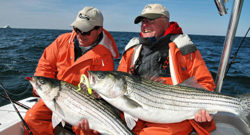 Yamaha Fish