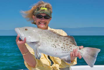 Yellowtail 5