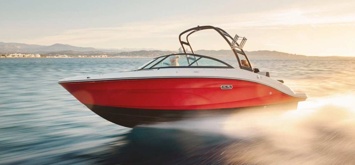 Sea Ray SPX 210 SD running