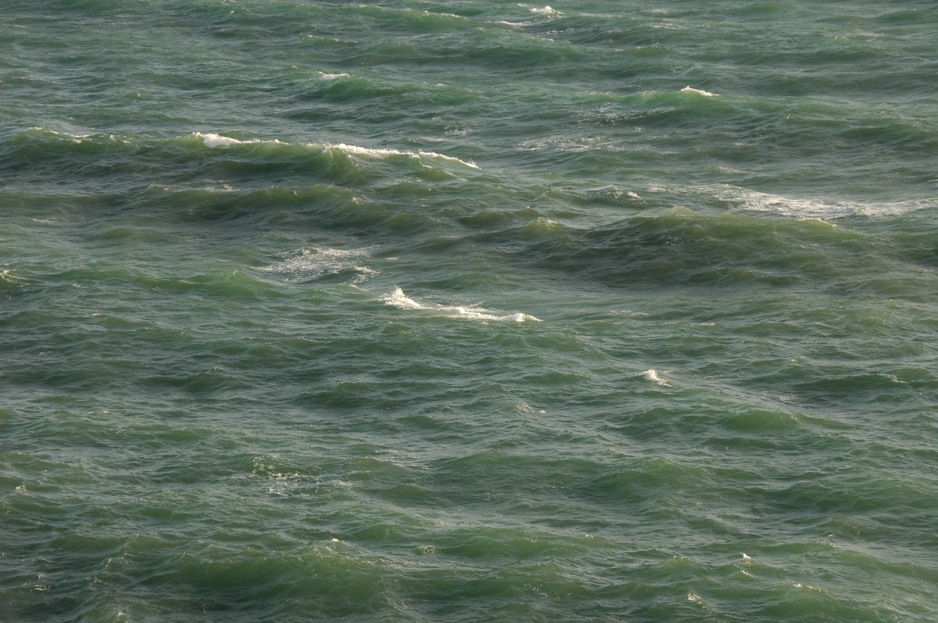 Forecasting Sea Conditions