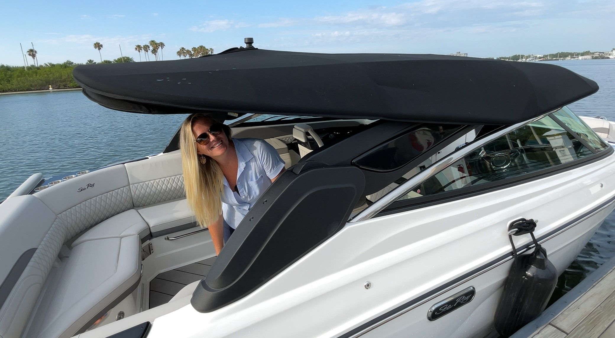 SeaRay SLX 280 sterndrive pt down