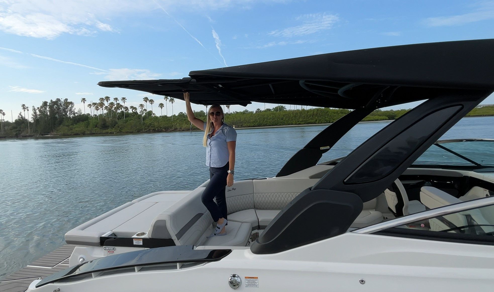 SeaRay SLX 280 sterndrive pt shade