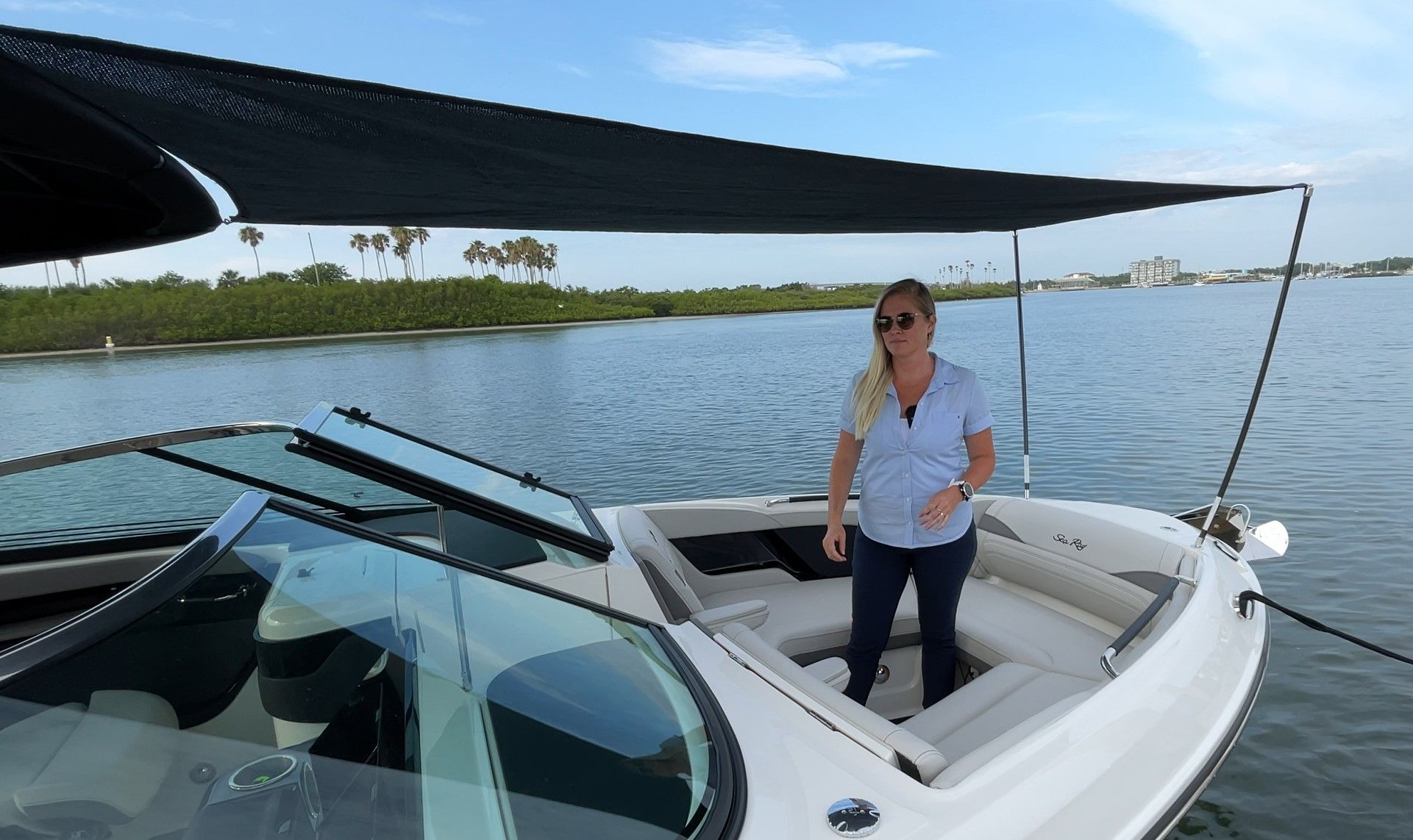 SeaRay SLX 280 sterndrive bow shade