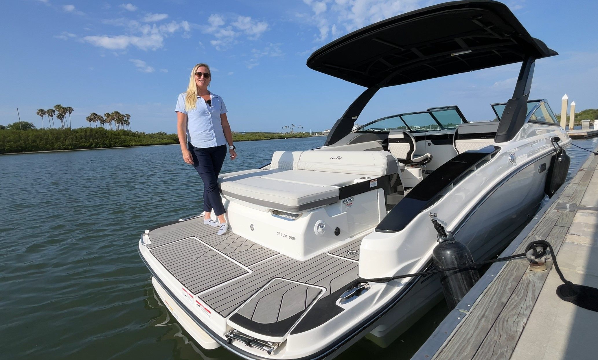 SeaRay SLX 280 sterndrive transom