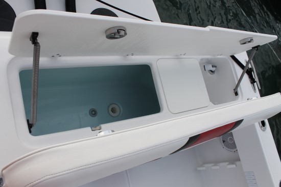 Bluewater 2550 transom livewell