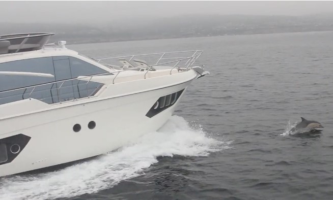 Absolute 50 Fly hull