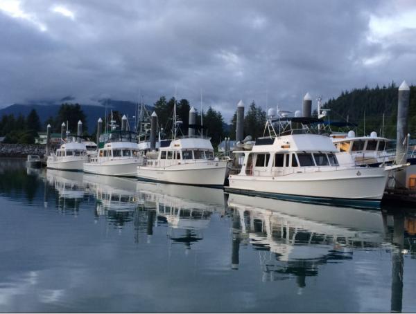 Charter Cruising to Alaska with Mother Goose