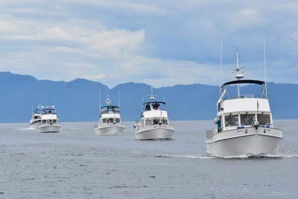 Charter Cruising to Alaska with Mother Goose