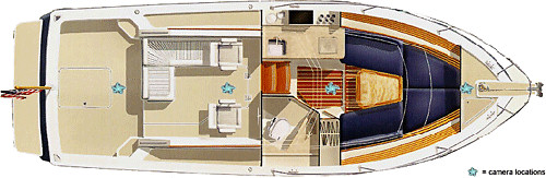 Back Cove 30