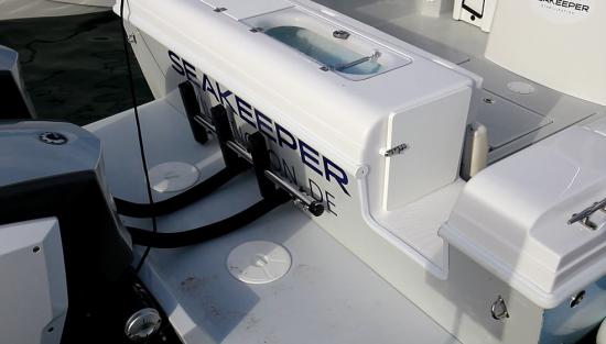 Bluewater 2850 ladder