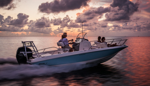 Boston Whaler 210 Dauntless
