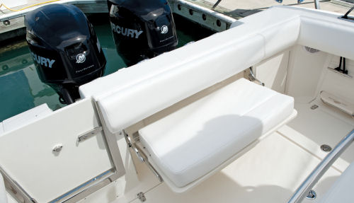 Boston Whaler 250 Outrage