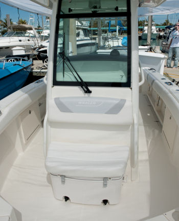 Boston Whaler 250 Outrage