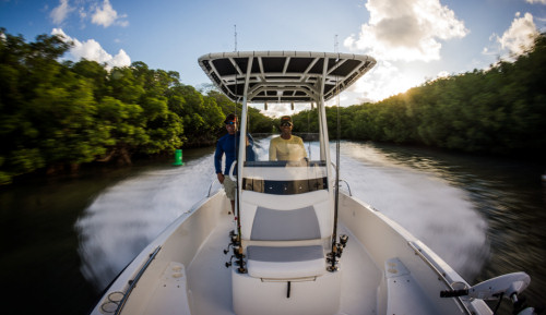 Boston Whaler 210 Dauntless