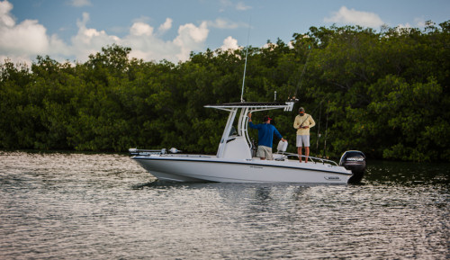 Boston Whaler 210 Dauntless