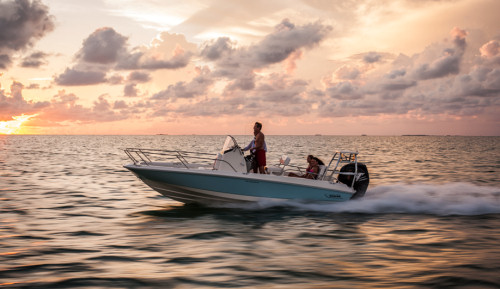 Boston Whaler 210 Dauntless