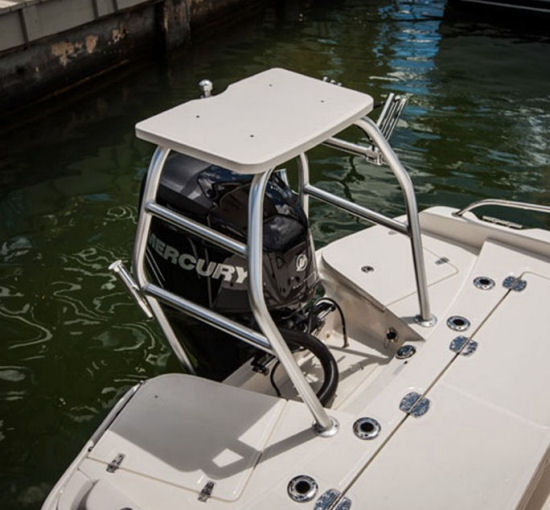 Boston Whaler 210 Dauntless tower