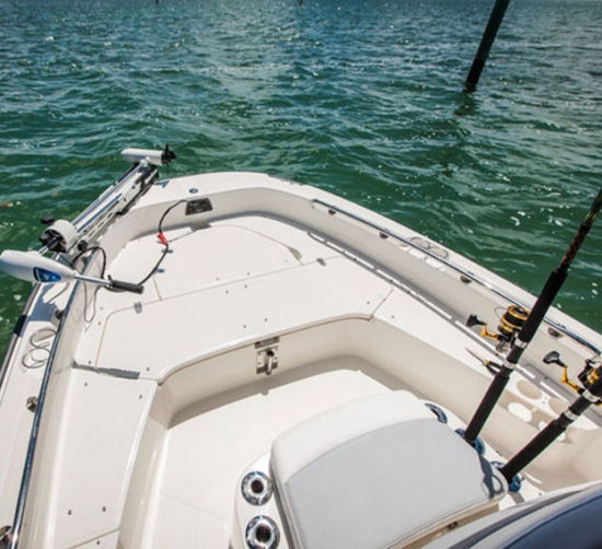 Boston Whaler 210 Dauntless fishing