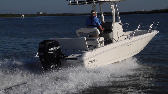 Boston Whaler 210 Dauntless outboard