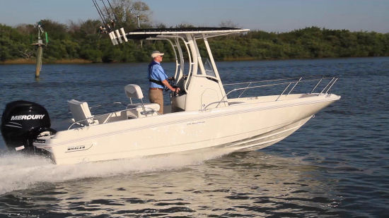 Boston Whaler 210 Dauntless running shot