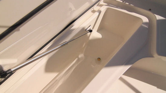 Boston Whaler 210 Dauntless stainless struts