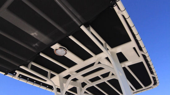 Boston Whaler 210 Dauntless t top