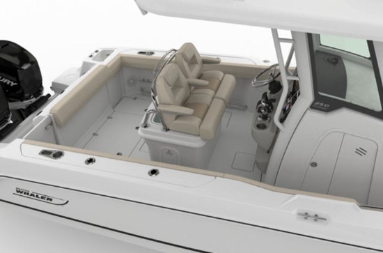 Boston Whaler 250 Outrage cockpit