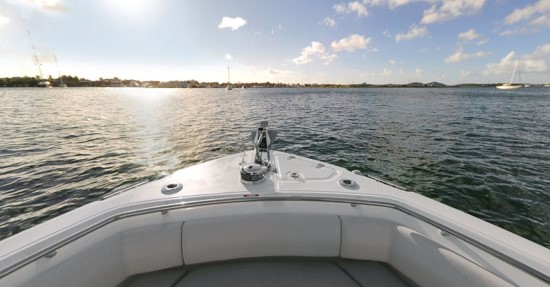 Boston Whaler 250 Outrage horizon