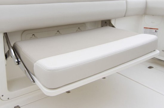 Boston Whaler 250 Outrage transom