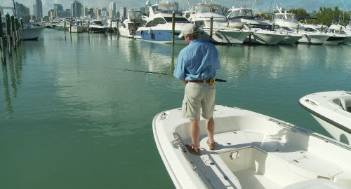 Boston Whaler 270 Dauntless