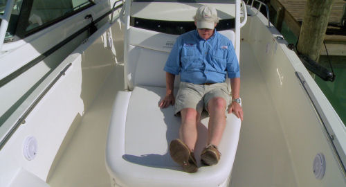 Boston Whaler 270 Dauntless