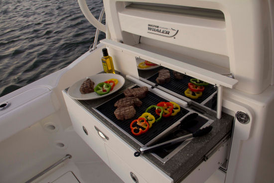 Boston Whaler 315 Conquest Pilothouse grill