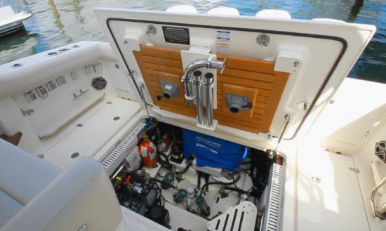 Boston Whaler 380 Realm access