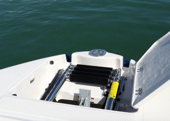 Chaparral 243 Vortex VRX ladder