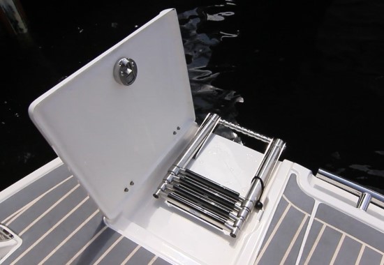 Chaparral 287 SSX ladder