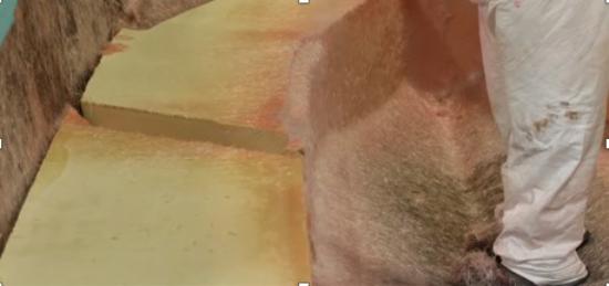 Everglades 273CC construction