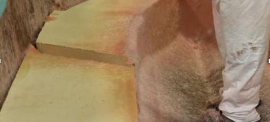 Everglades 335CC foam