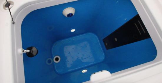 Everglades 335CC livewell