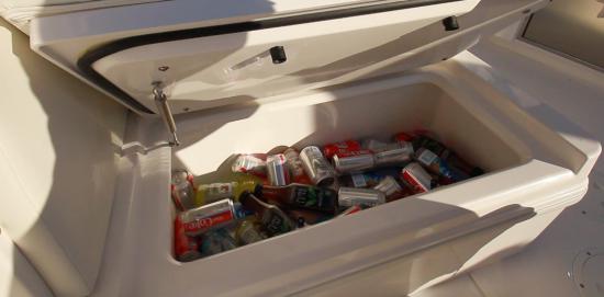 Everglades 340DC cooler