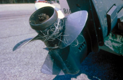 The Lowdown on Lower-Unit Lubrication