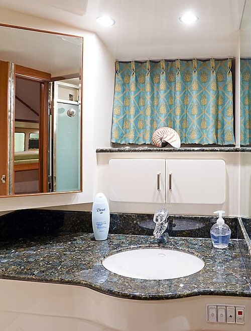 Fleming 55 guest head